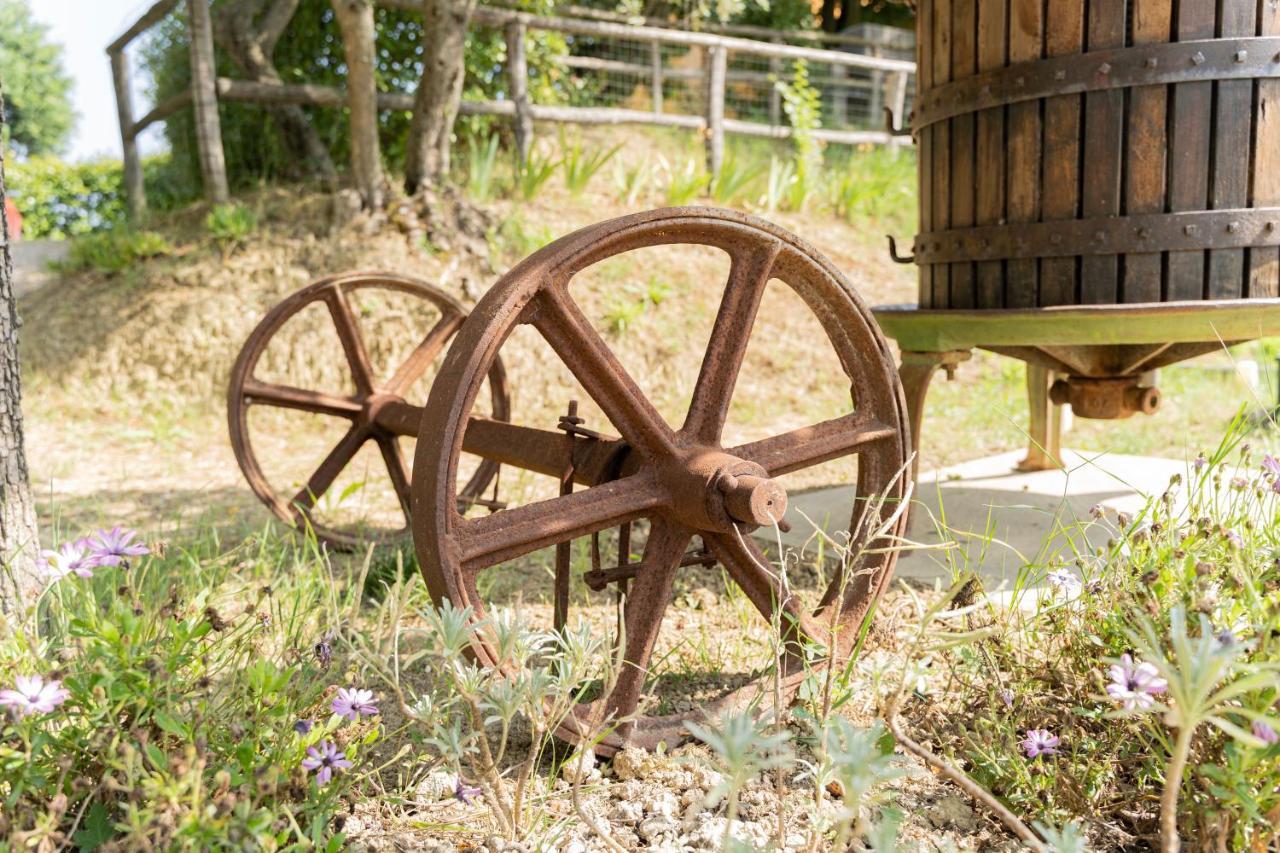 Montenovo Country House Ostra Vetere Zewnętrze zdjęcie