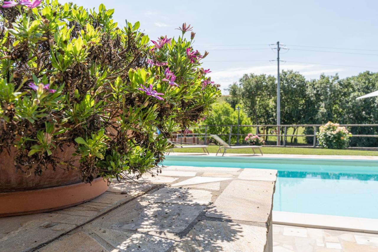 Montenovo Country House Ostra Vetere Zewnętrze zdjęcie