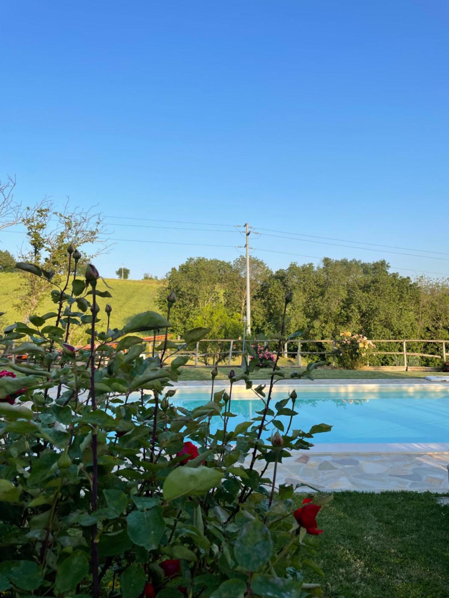 Montenovo Country House Ostra Vetere Zewnętrze zdjęcie
