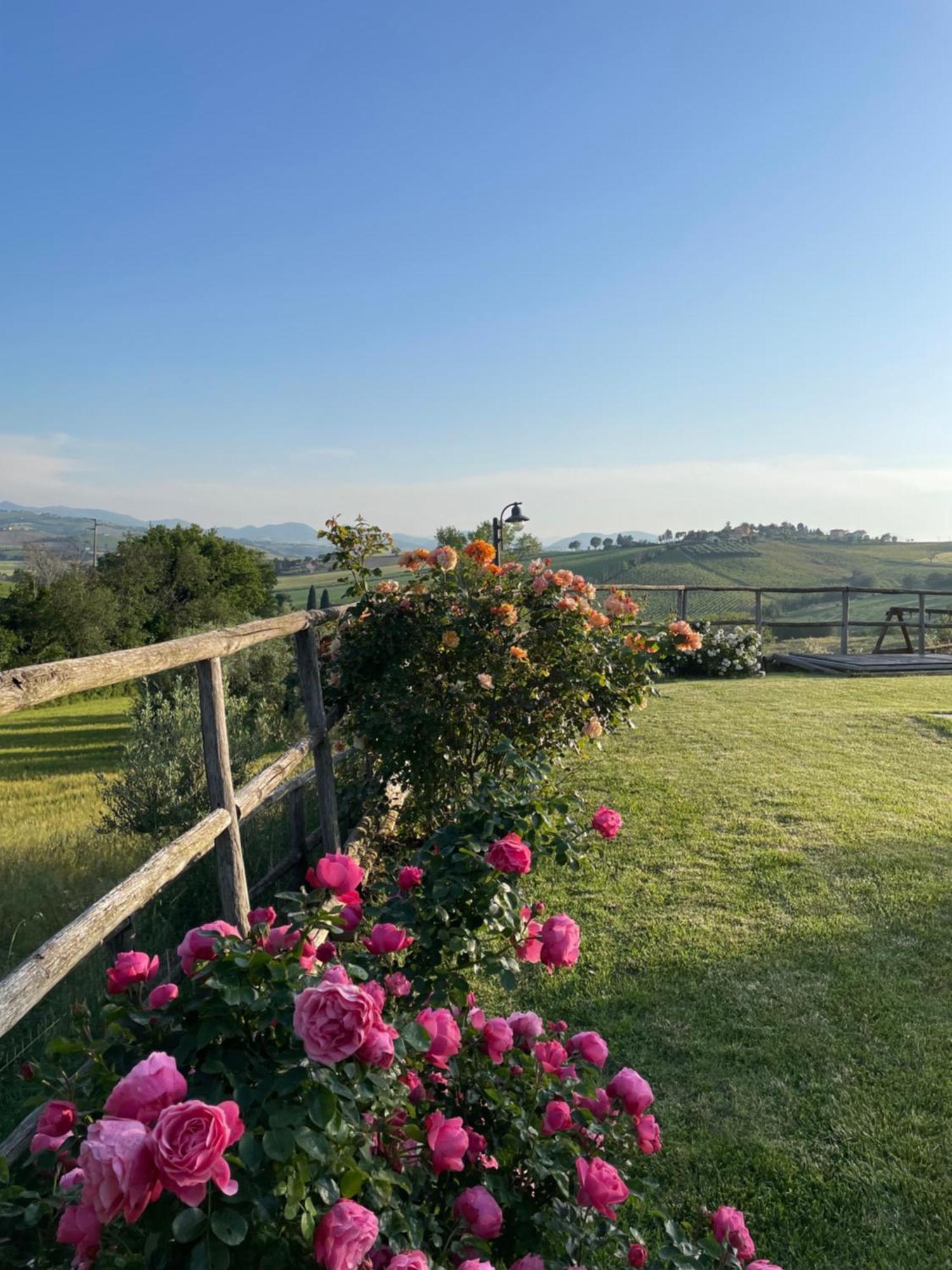 Montenovo Country House Ostra Vetere Zewnętrze zdjęcie